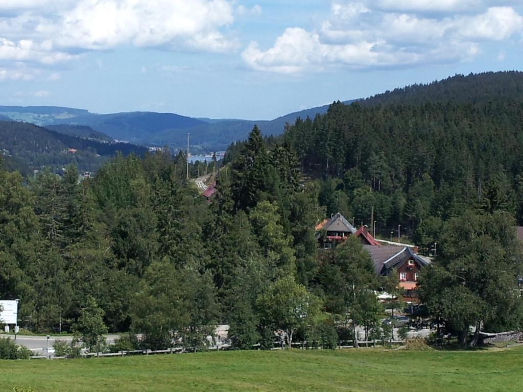 Schwarzwald-Chalet Feldberg Feldberg  Esterno foto